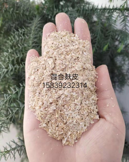 廠家直銷全國發(fā)貨 畜牧養(yǎng)殖飼料用小麥麩皮，為雞鴨魚水產(chǎn)牛羊豬養(yǎng)殖提供優(yōu)質(zhì)營養(yǎng)
